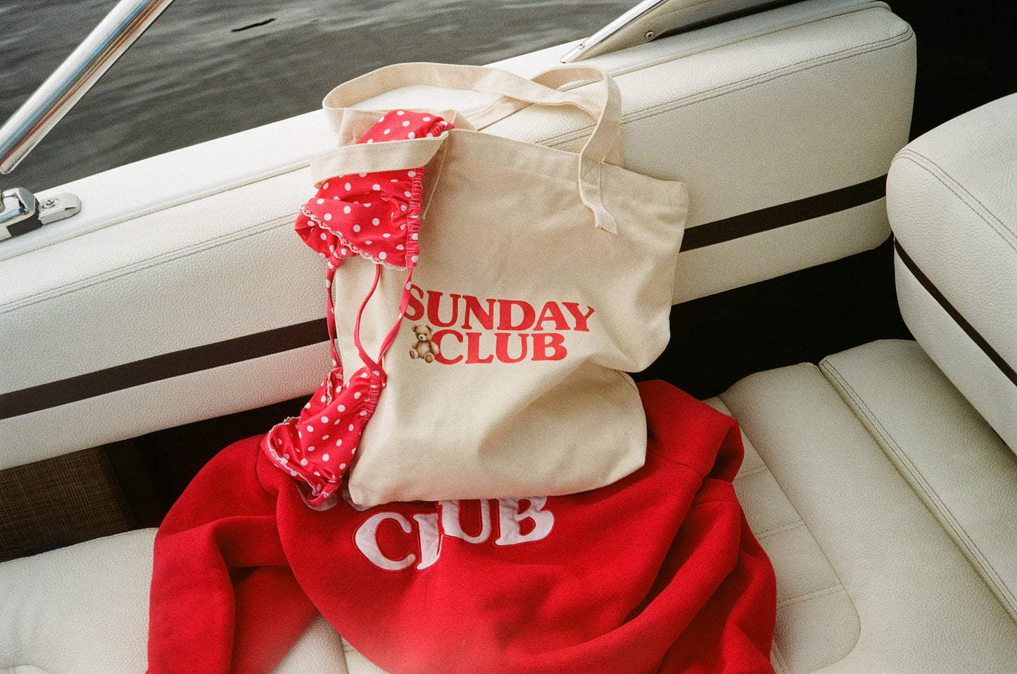 Bear Tote